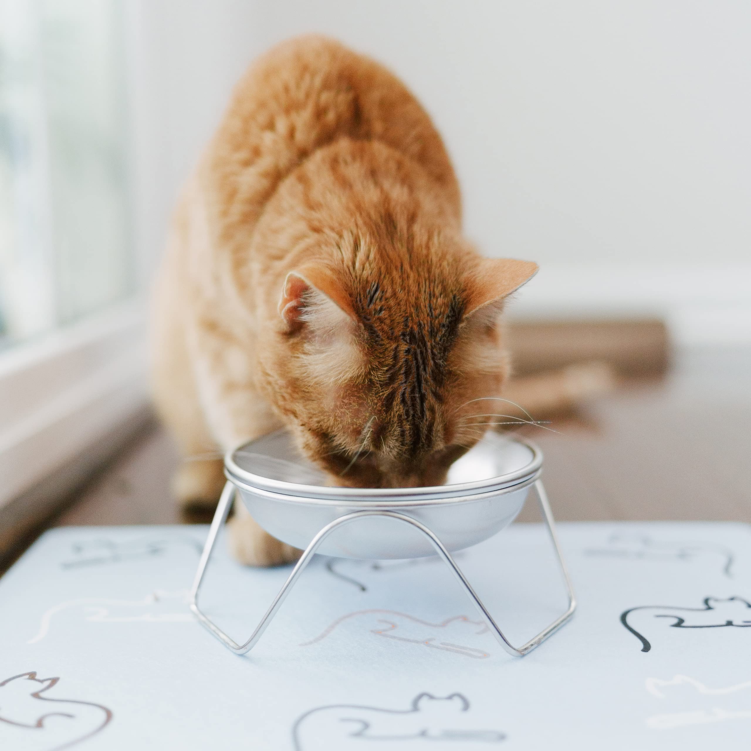 Americat dishwasher-safe bowl ready for easy cleaning.