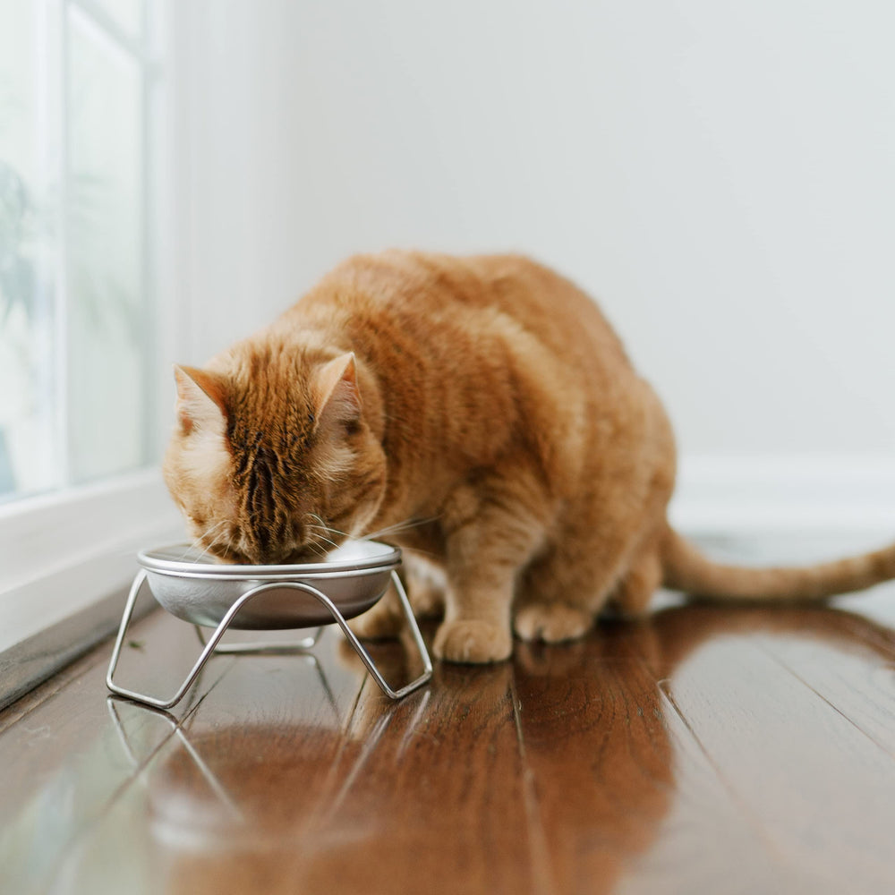 Americat stainless steel bowl close-up highlights premium 18/8 304 material.