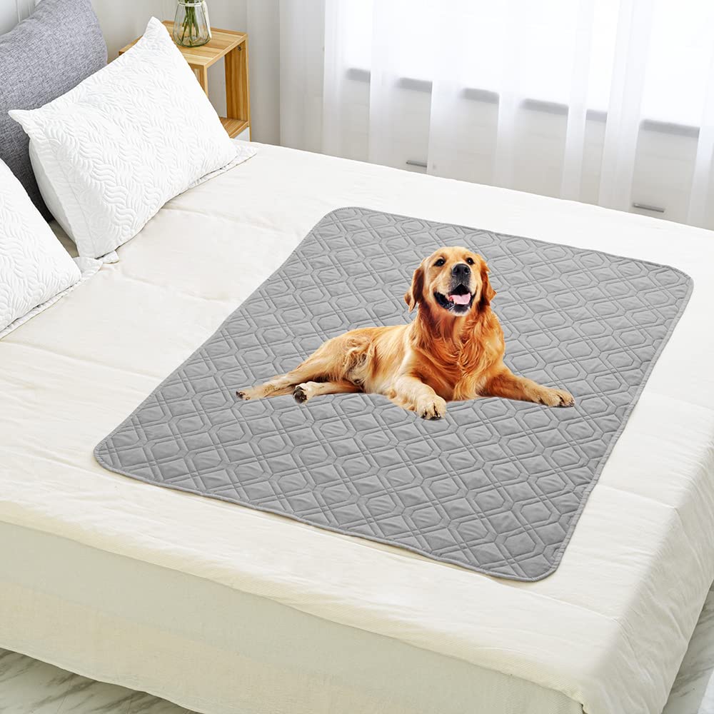 Ameritex anti-slip backed dog bed cover on sofa stays in place during play