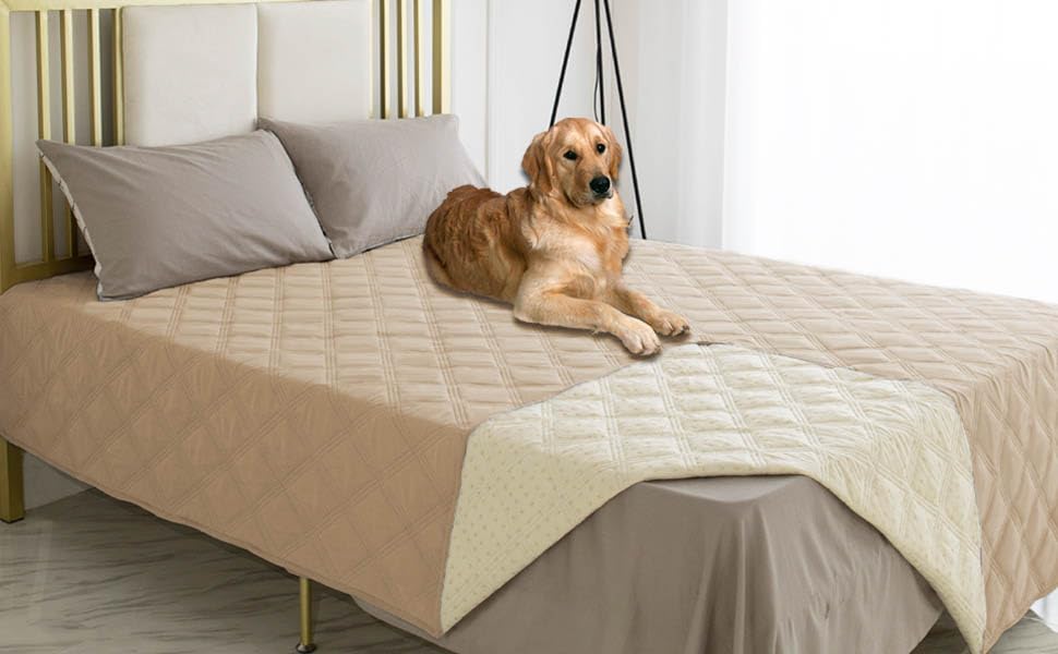 Ameritex dog bed cover on couch during spill demonstrating protection.