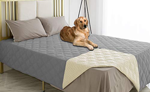 Ameritex fits sofas and beds for versatile pet protection.