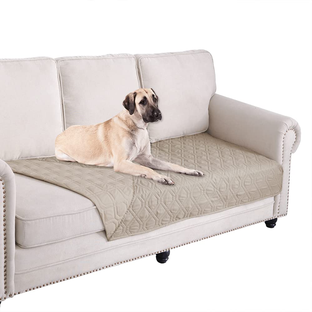 Ameritex funda impermeable para perro sobre sofá protege muebles de manchas.