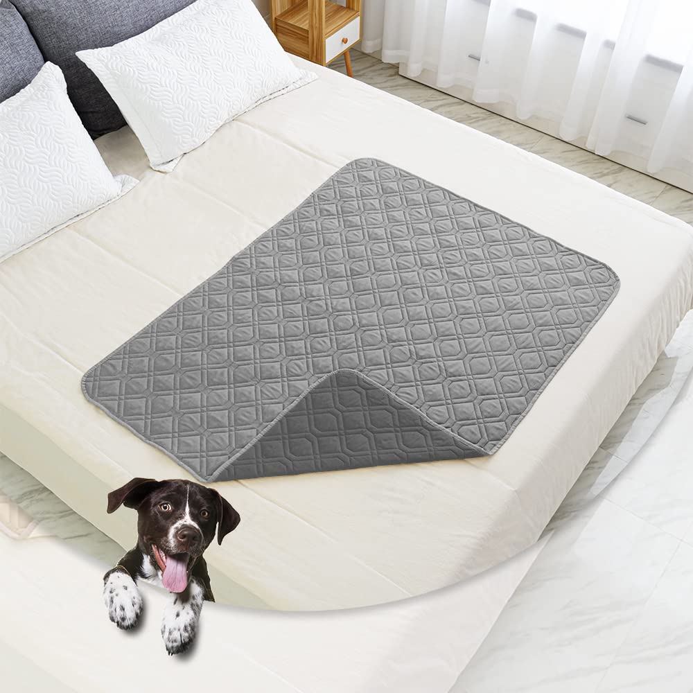 Ameritex furniture protector dog blanket spread over sofa for stain resistance