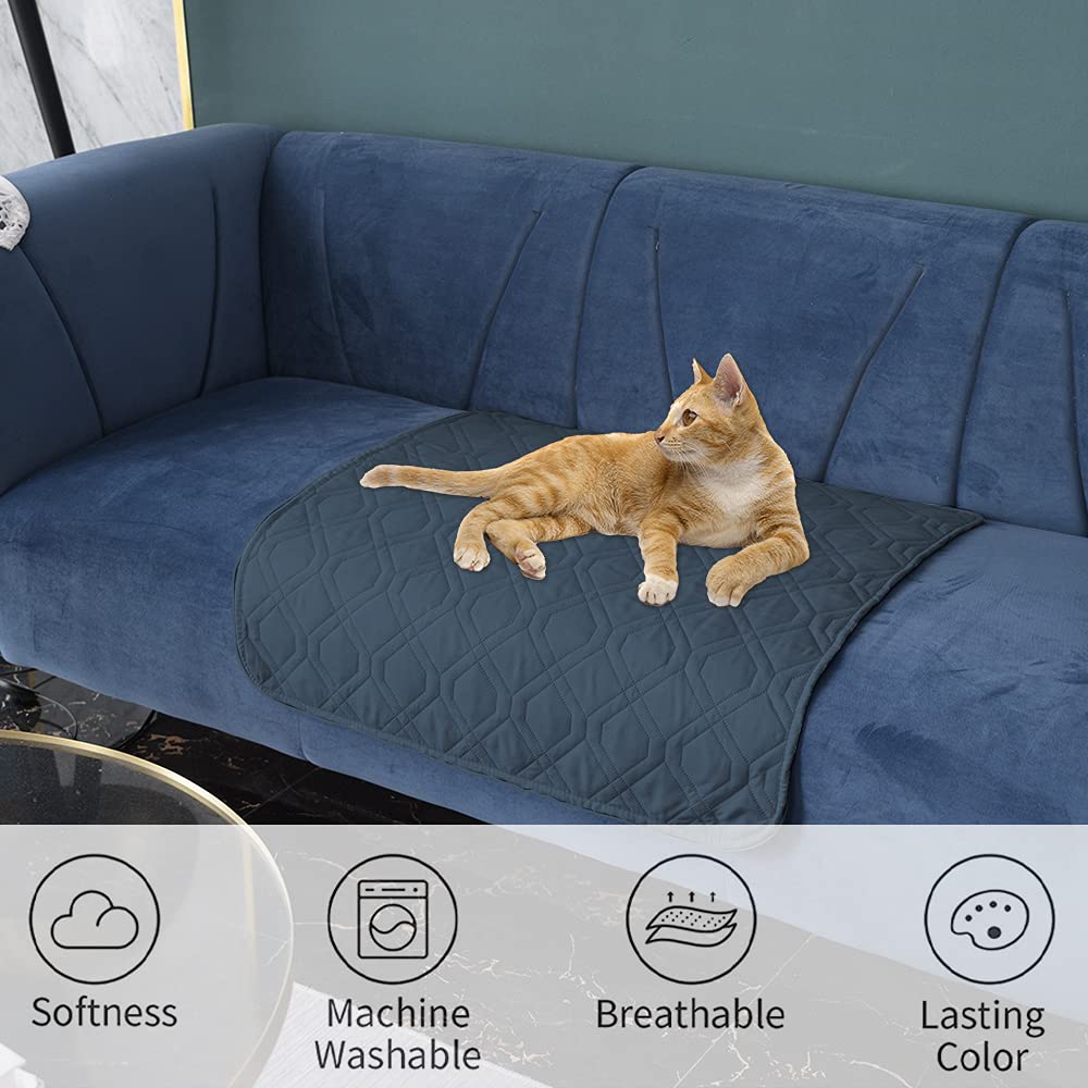 Ameritex lavable-funda-perro-salon facilita limpieza rápida