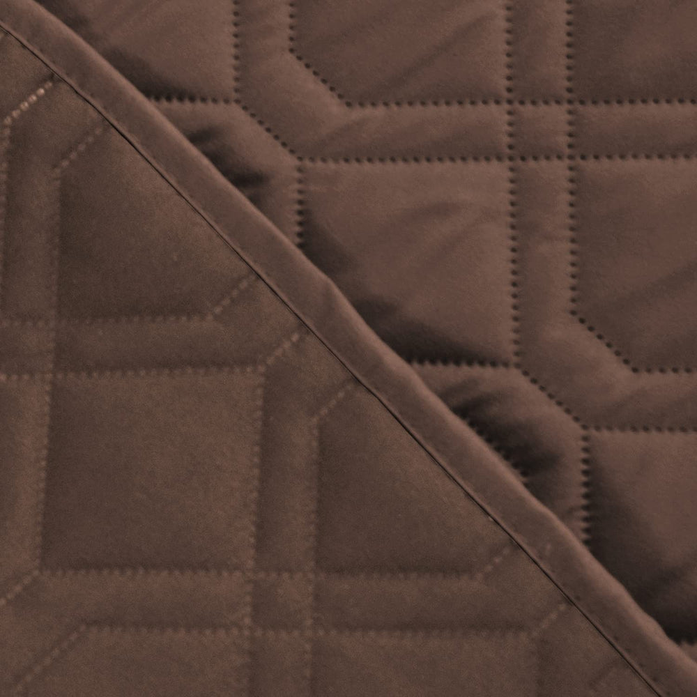 Ameritex pet-friendly blanket offers cozy, clean spaces in living rooms.