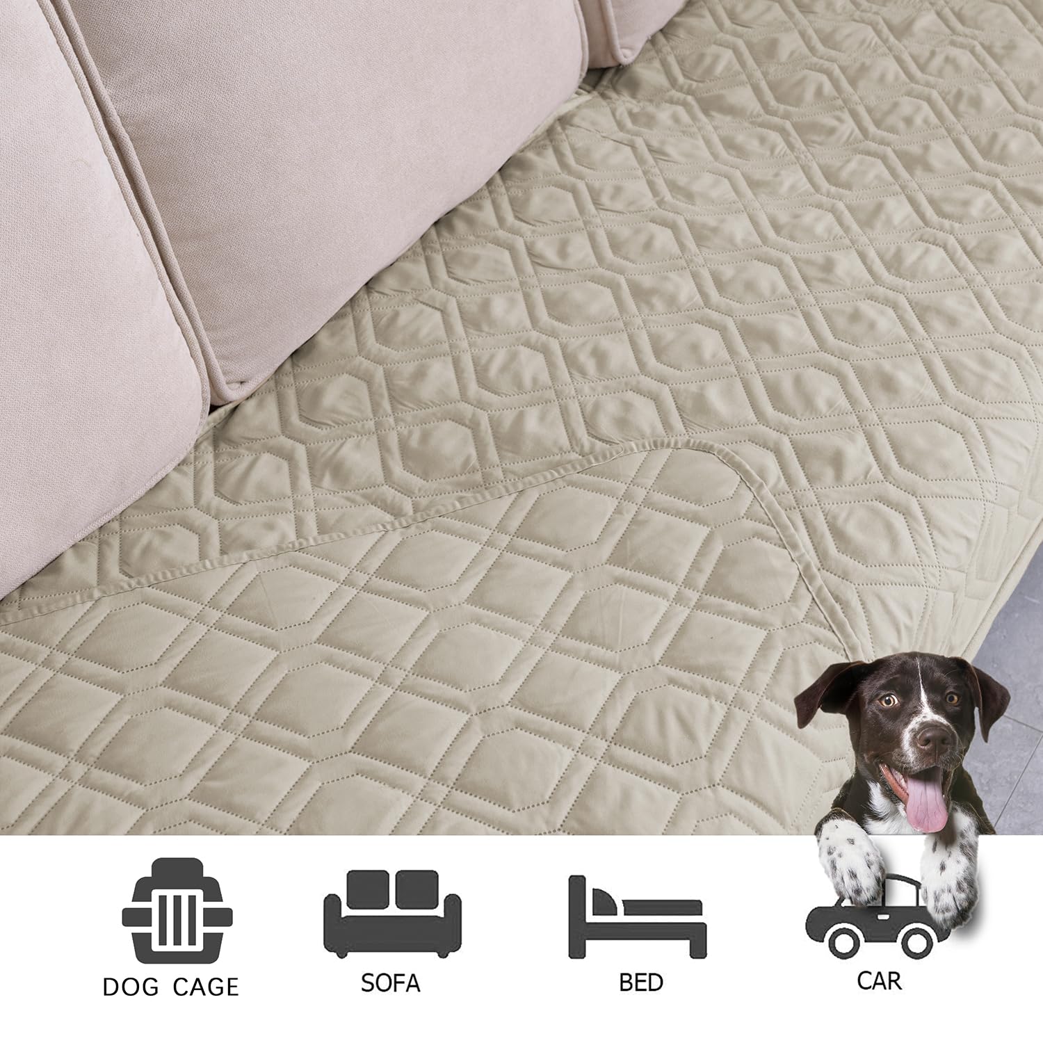 Ameritex sofa protection on a couch illustrates pet-friendly furniture defense