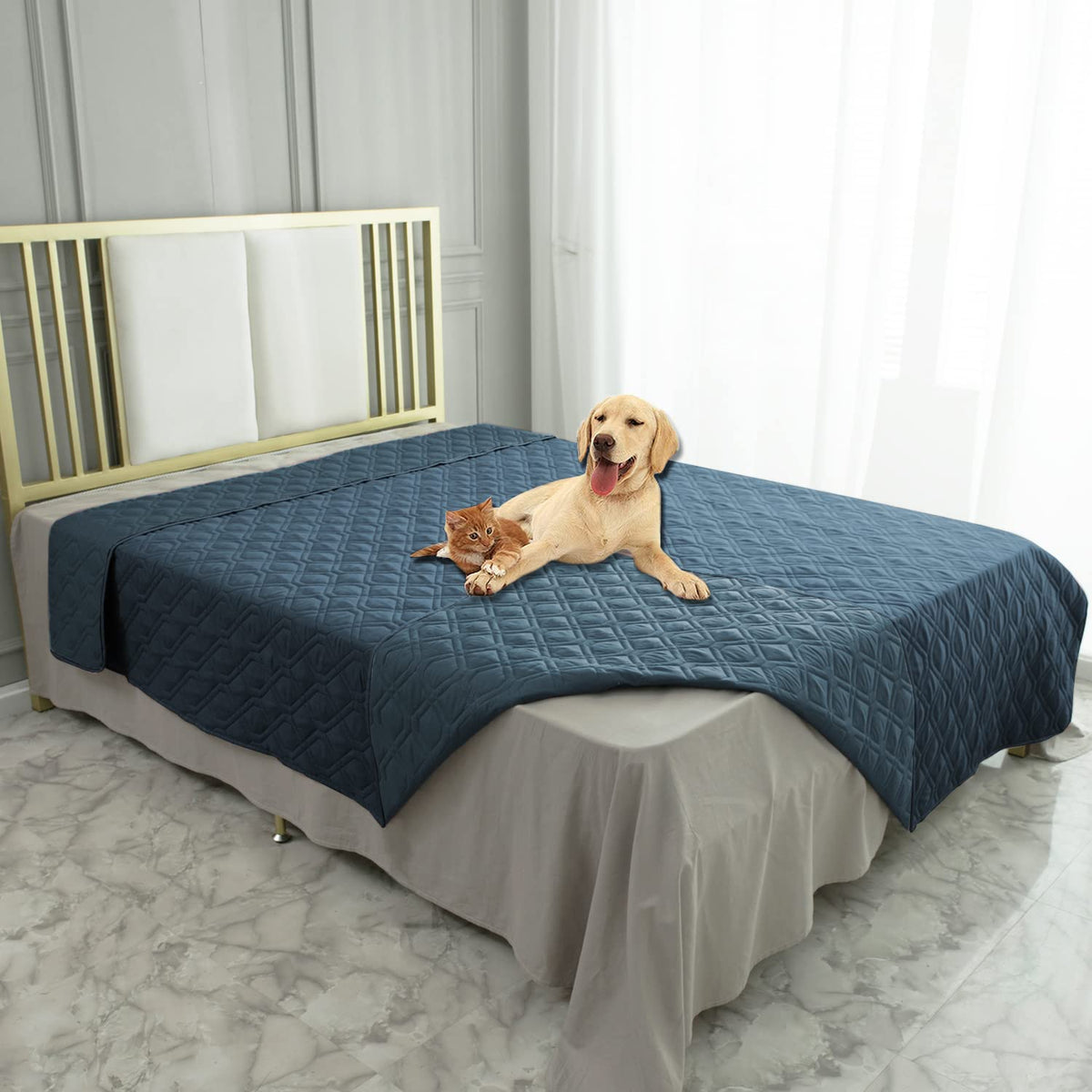 Ameritex waterproof blanket on sofa protects furniture from pet mess.