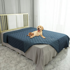 Ameritex waterproof blanket on sofa protects furniture from pet mess.