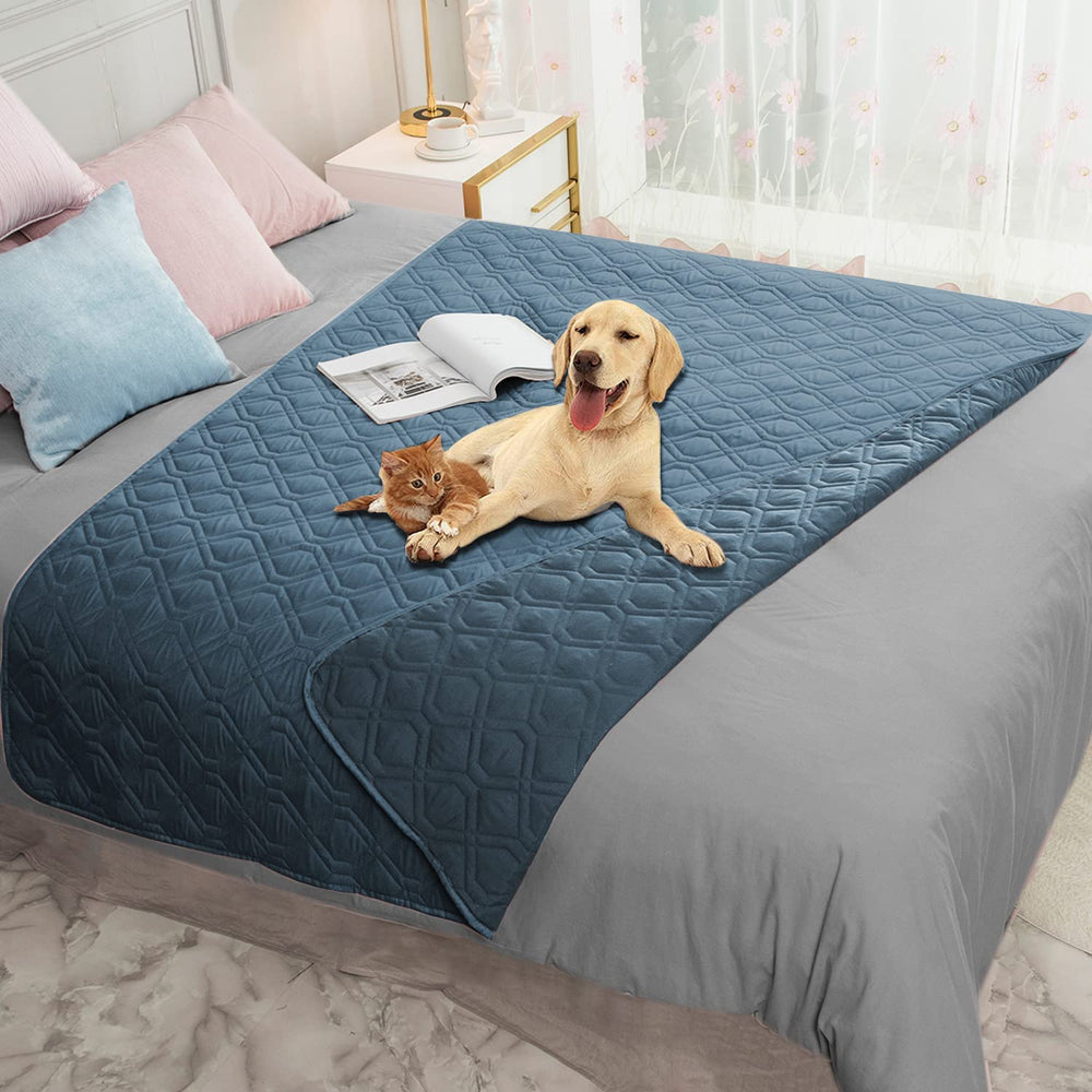 Ameritex waterproof blanket on sofa protects furniture and keeps pets comfortable
