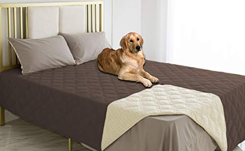 Ameritex Waterproof Dog Bed Cover with Anti-Slip Back on sofa for furniture protection.
