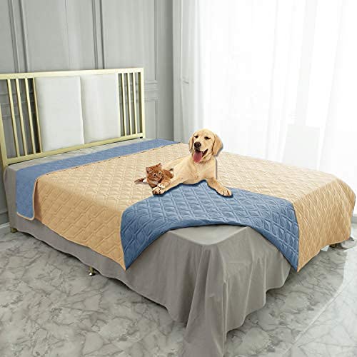 Ameritex waterproof dog bed cover on a couch protects furniture from spills and pet messes.