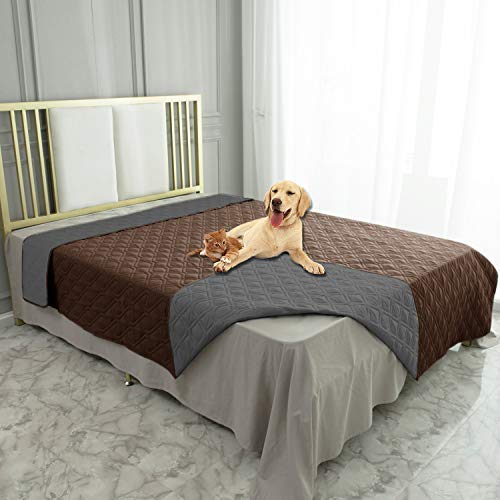 Ameritex waterproof dog bed cover on couch protects furniture from spills and fur.