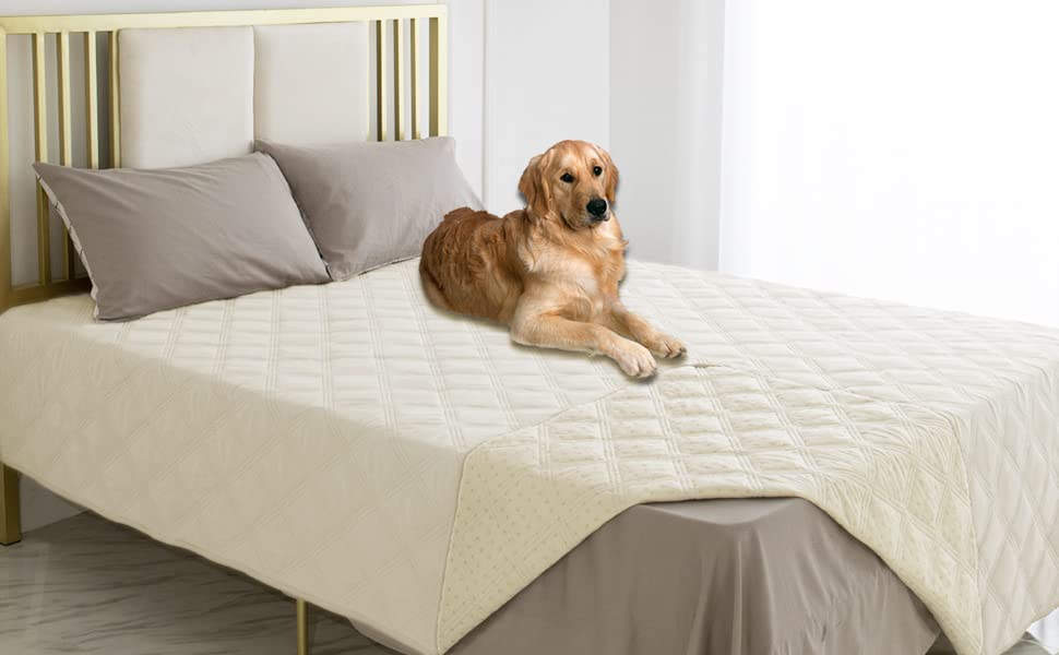Ameritex waterproof dog bed cover on sofa protects furniture from spills and fur.