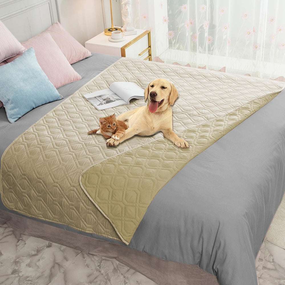 Ameritex waterproof dog bed cover on sofa shields furniture from spills and accidents.