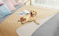 Ameritex waterproof dog bed cover on sofa protects furniture from spills.