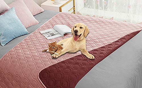 Ameritex waterproof dog bed cover on sofa guards against spills.