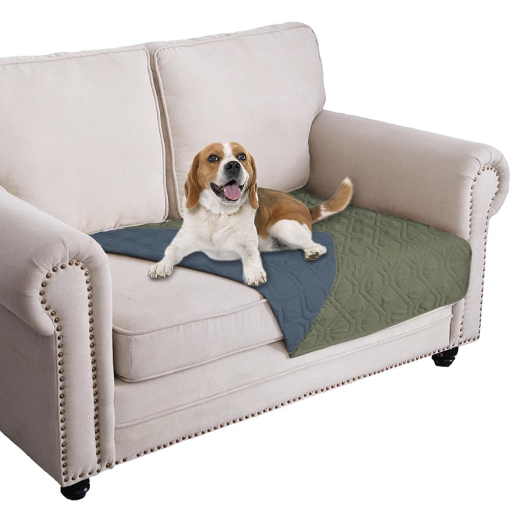 Ameritex waterproof dog bed cover on sofa protects against spills and pet messes.