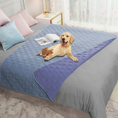 Ameritex waterproof dog bed cover on a sofa protects furniture from spills and accidents.