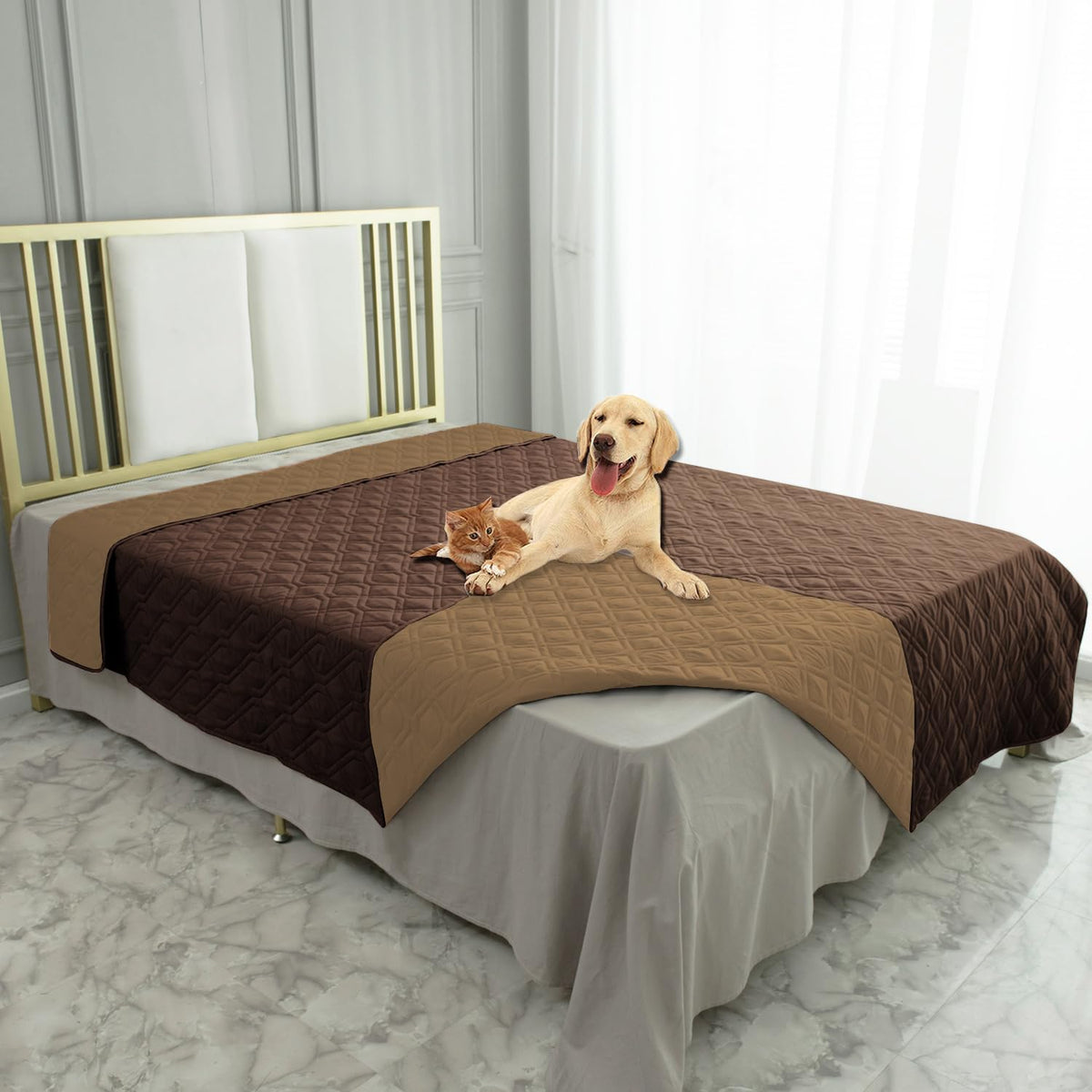 Ameritex waterproof dog bed cover on a sofa protecting furniture from spills and fur