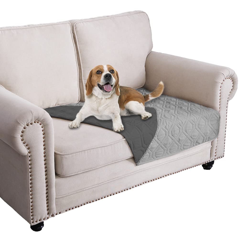 Ameritex waterproof dog bed cover on a sofa protecting furniture from spills.