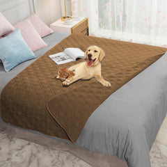 Ameritex waterproof dog bed cover on sofa protects against spills and accidents.