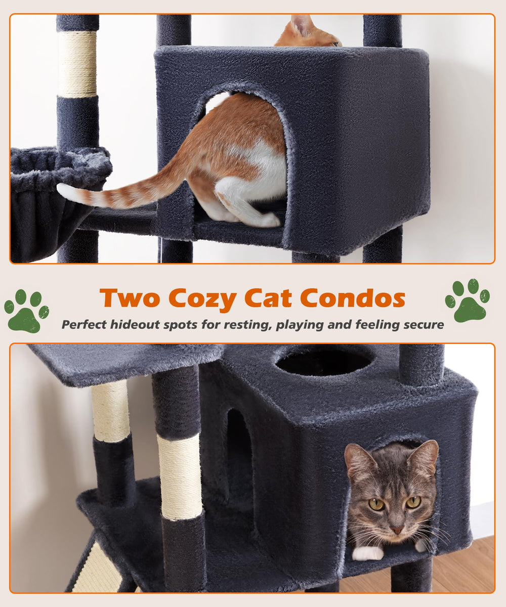 AMHANCIBLE hammock and hanging basket offer cozy lounging niches for cats.
