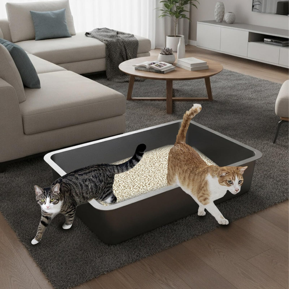 Amibud stainless steel sifting litter box supports a fresher room with odor control.