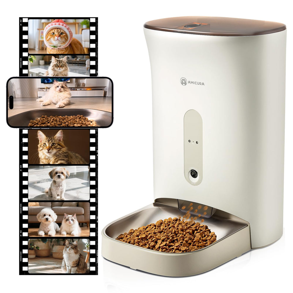 Amicura F1 PRO camera view offers clear 2K footage for pet mealtime monitoring.