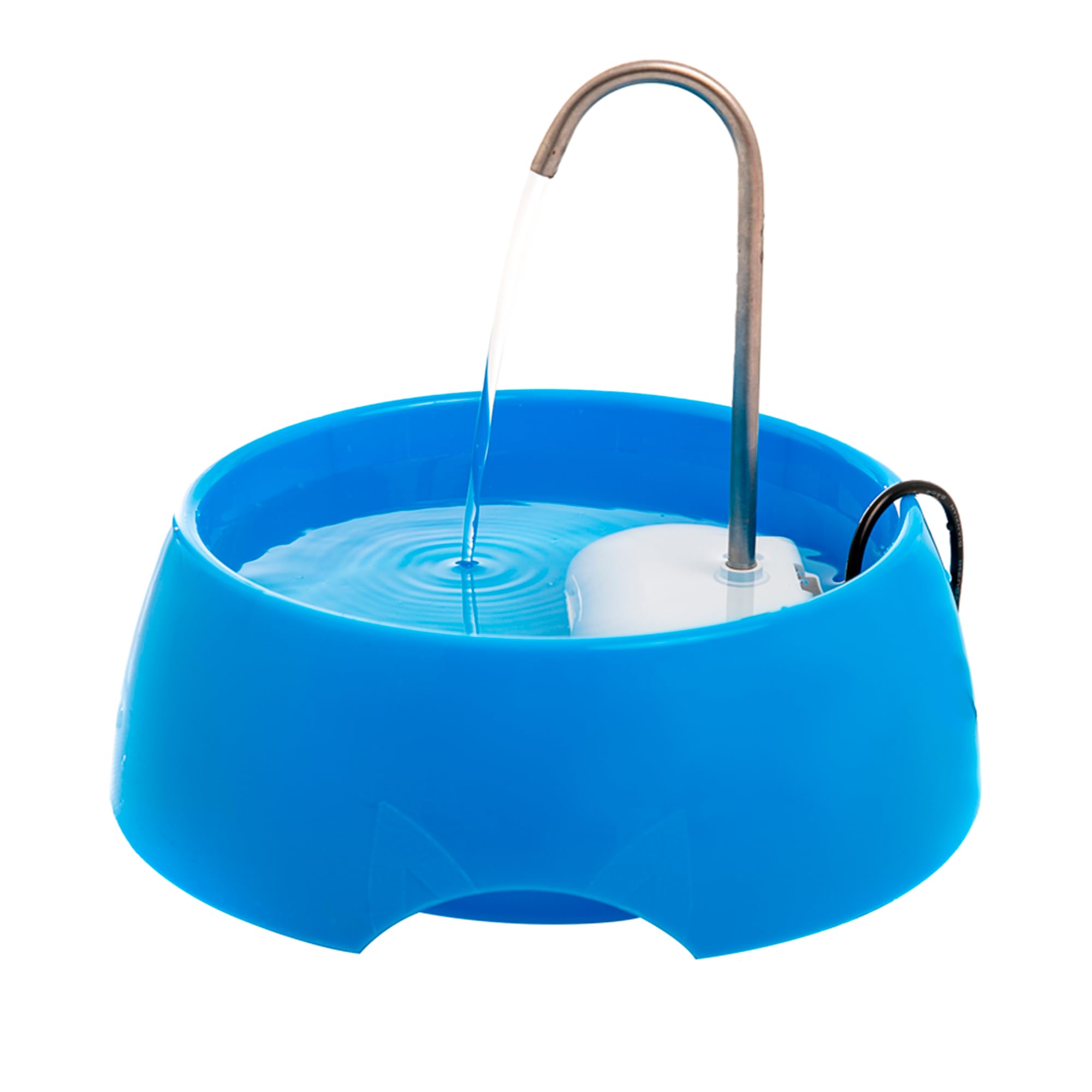 Amicus Aqua Mini blue faucet spout delivers clean drinking water for pets.