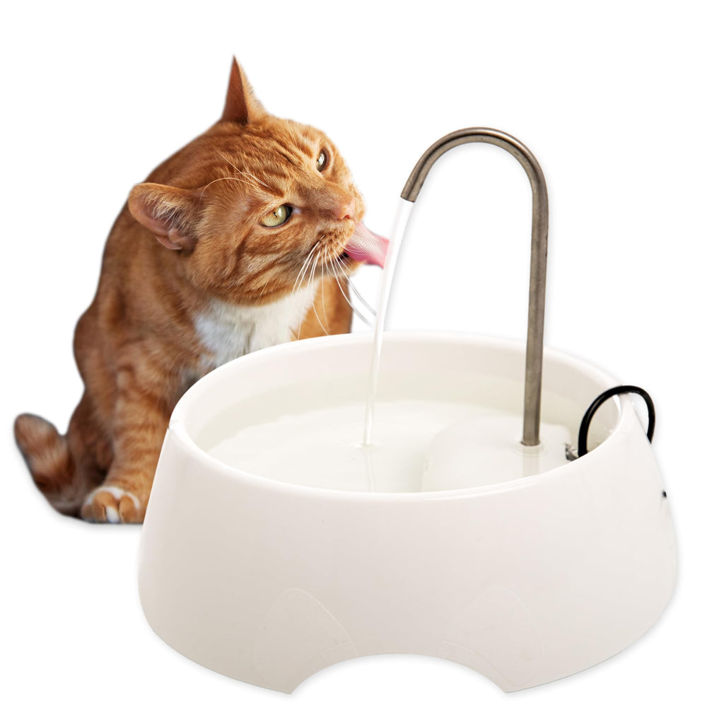 Amicus Aqua MINI fountain front view showing compact design for easy pet hydration.