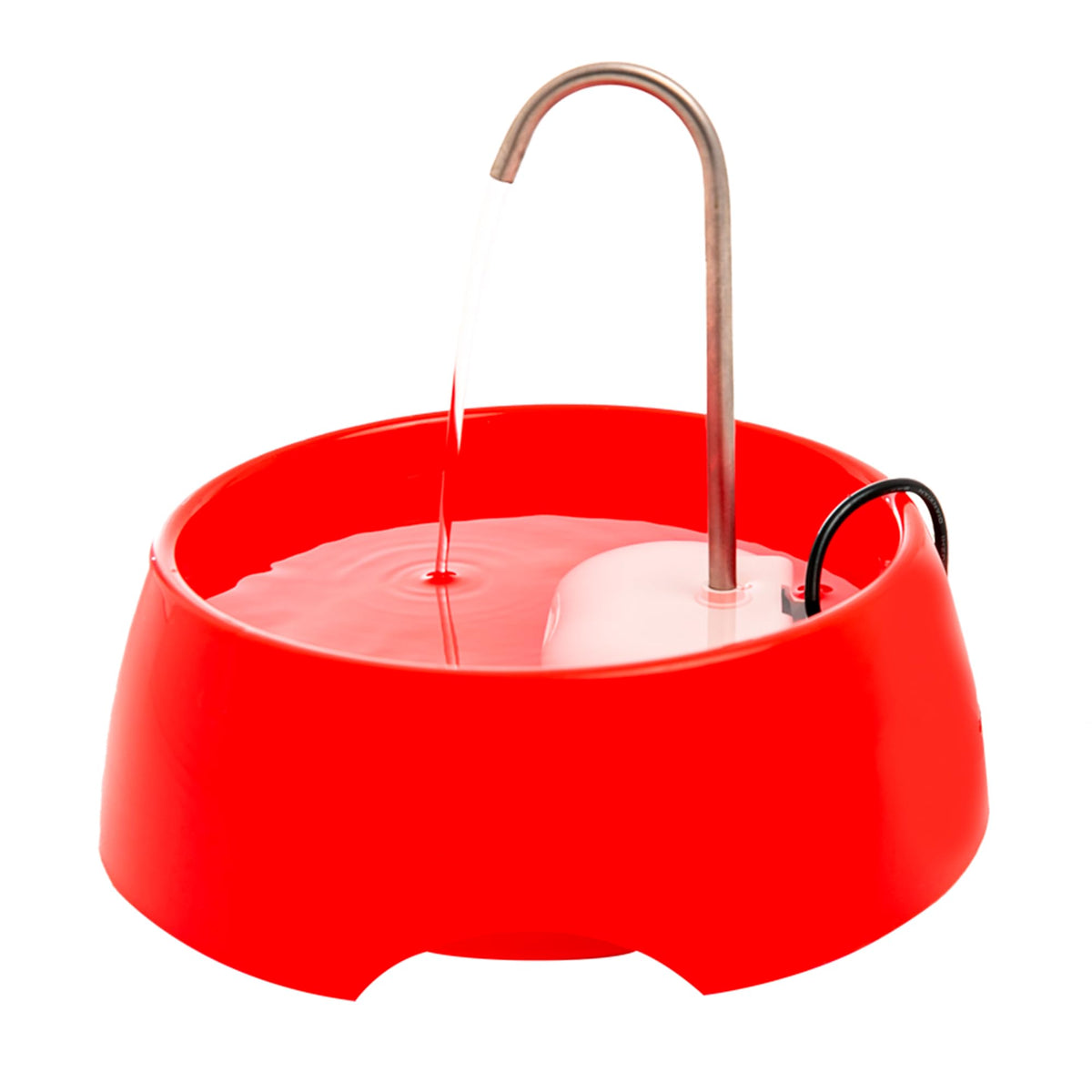 Amicus Aqua MINI front view demonstrates compact hydration fountain for easy on-the-go use.