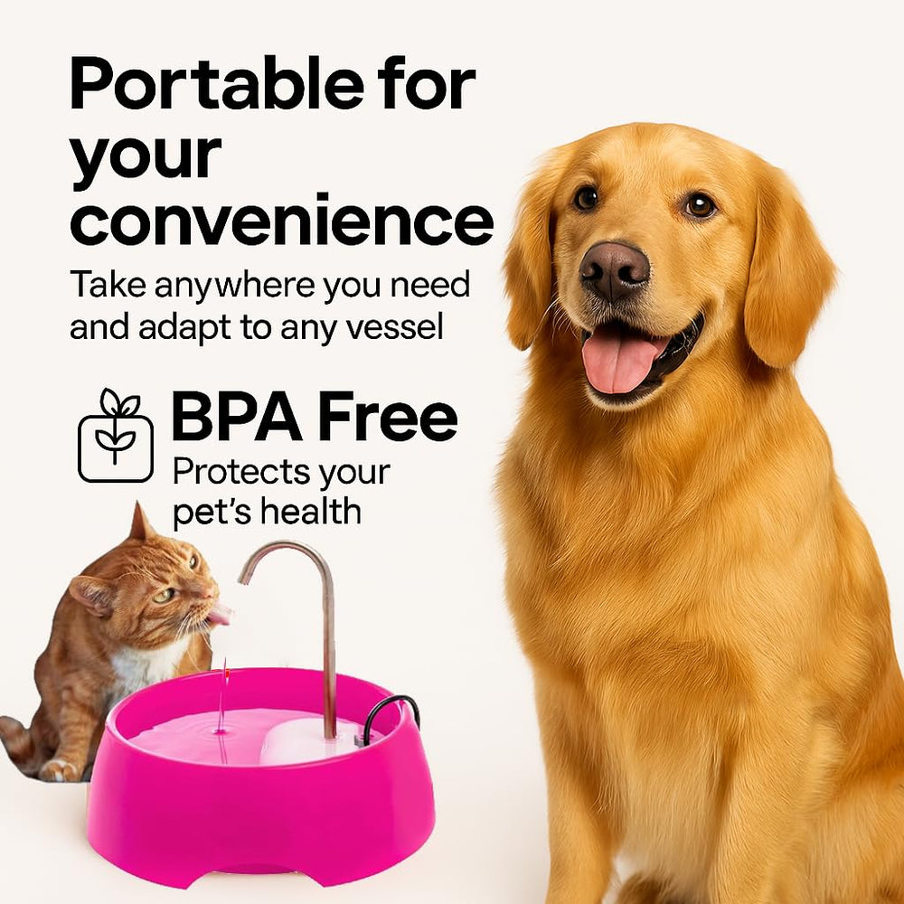 Amicus Aqua Mini multi-pet use image shows shared access.
