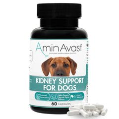 AminAvast dog kidney supplement bottle—ready for daily kidney support