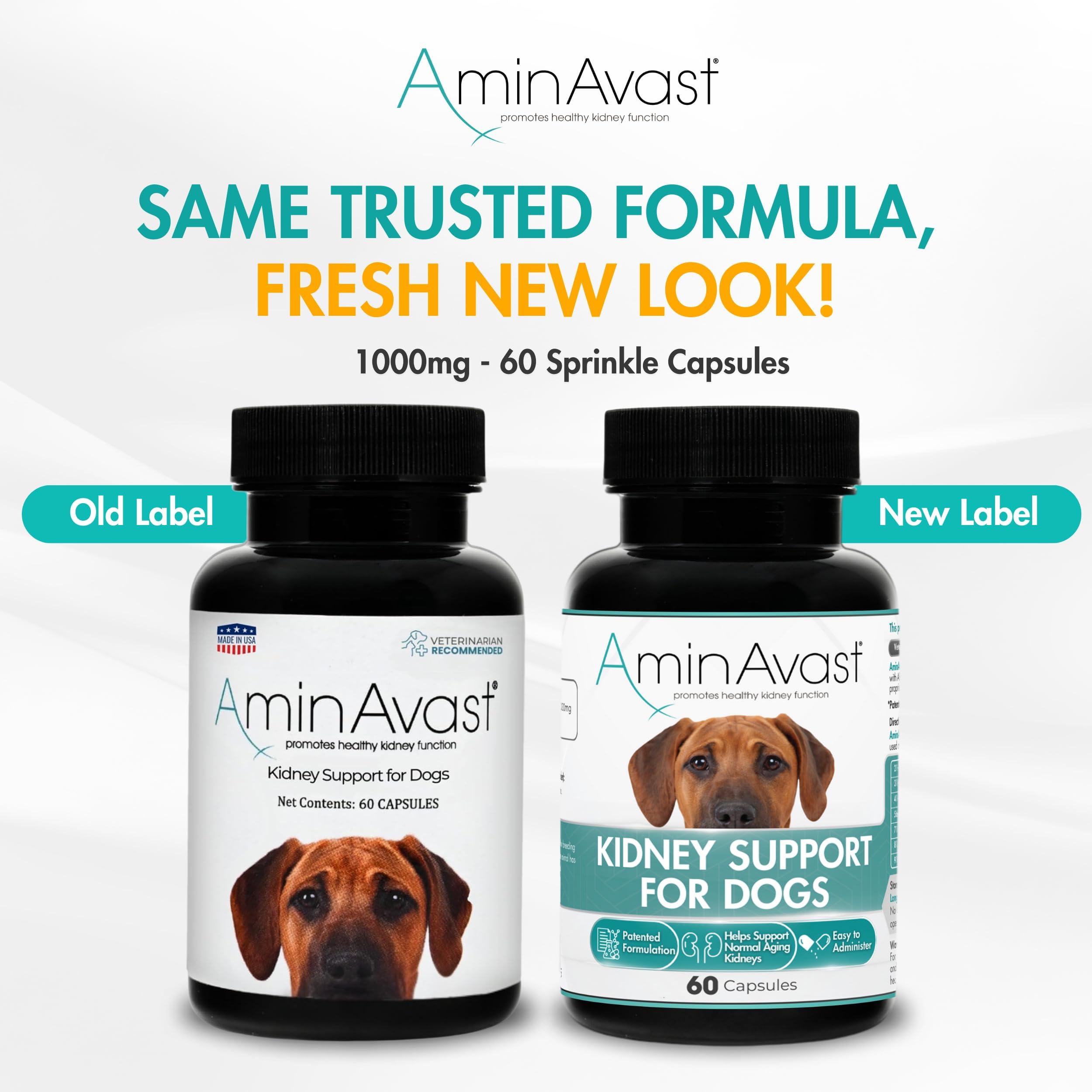 AminAvast dog kidney supplement capsules closeup—easy to sprinkle