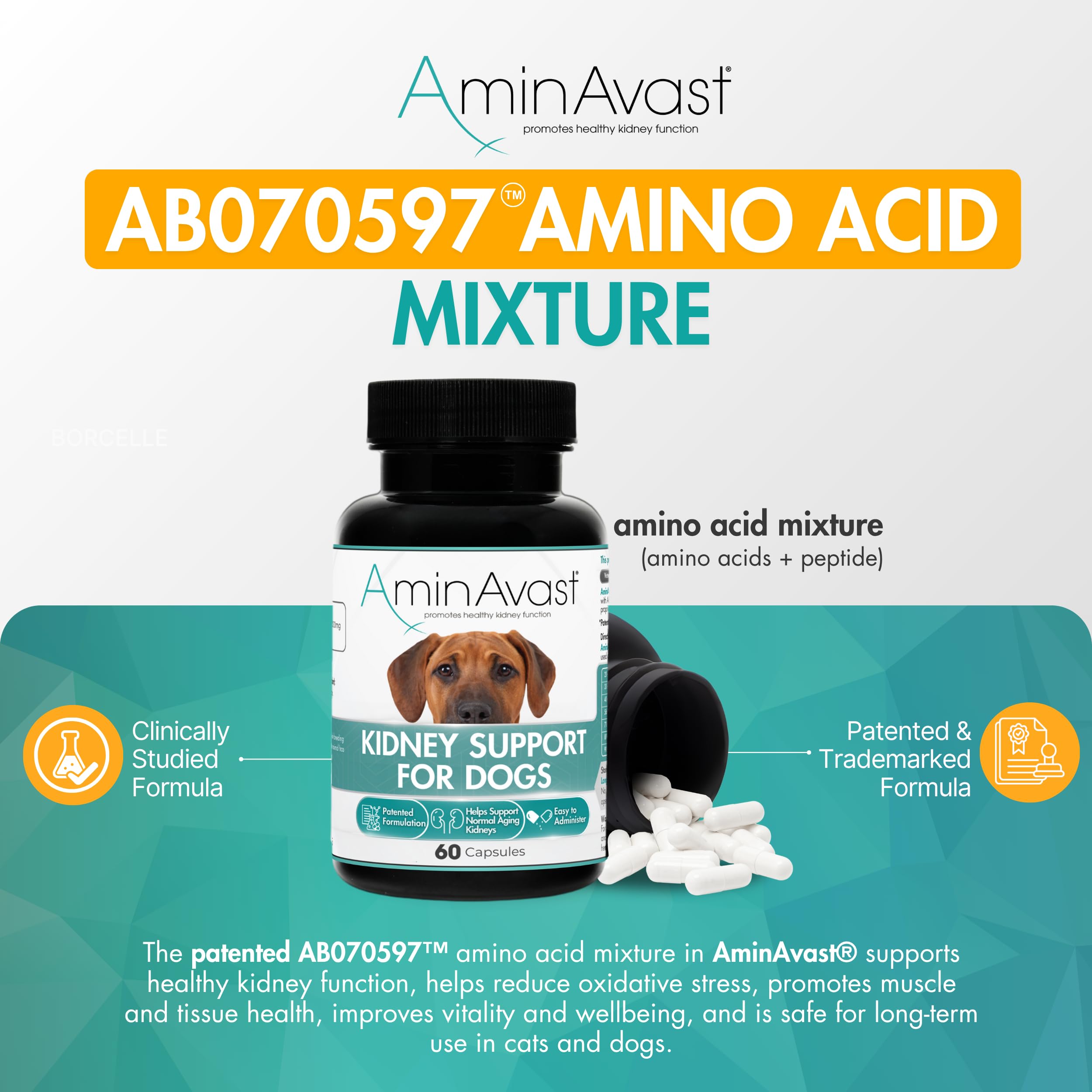 AminAvast dog kidney supplement in food—mixes into meals smoothly