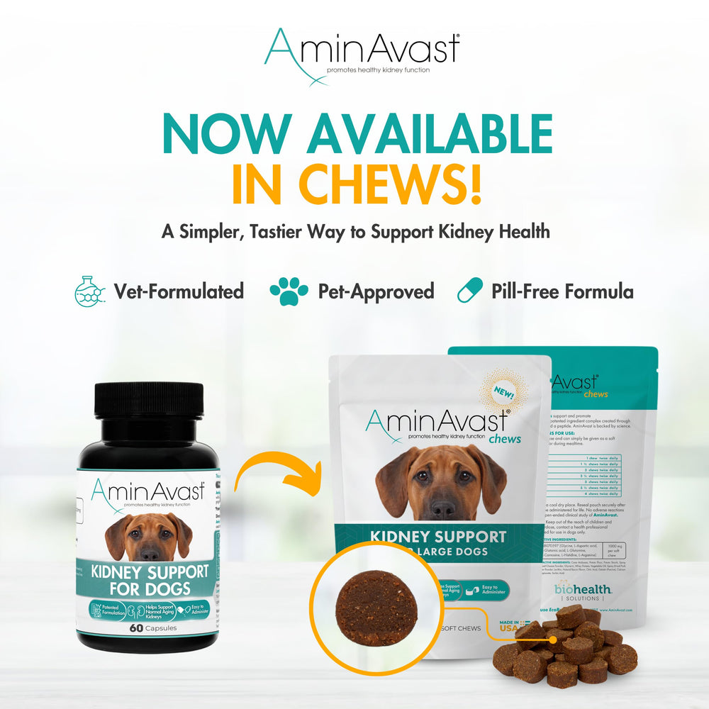 AminAvast dog kidney supplement packaging—clear usage and safety info