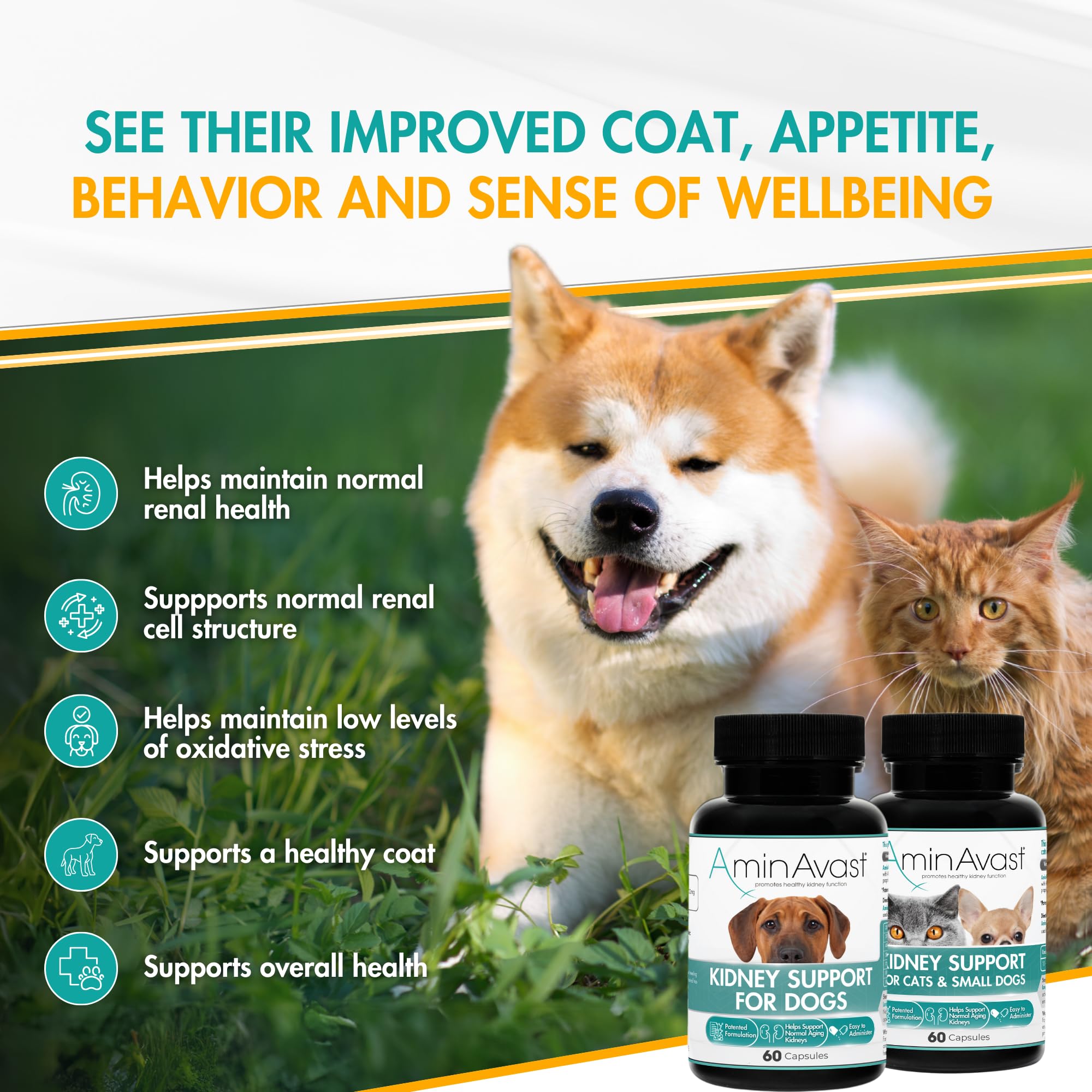 AminAvast dog kidney supplement pour bottle—convenient dosing