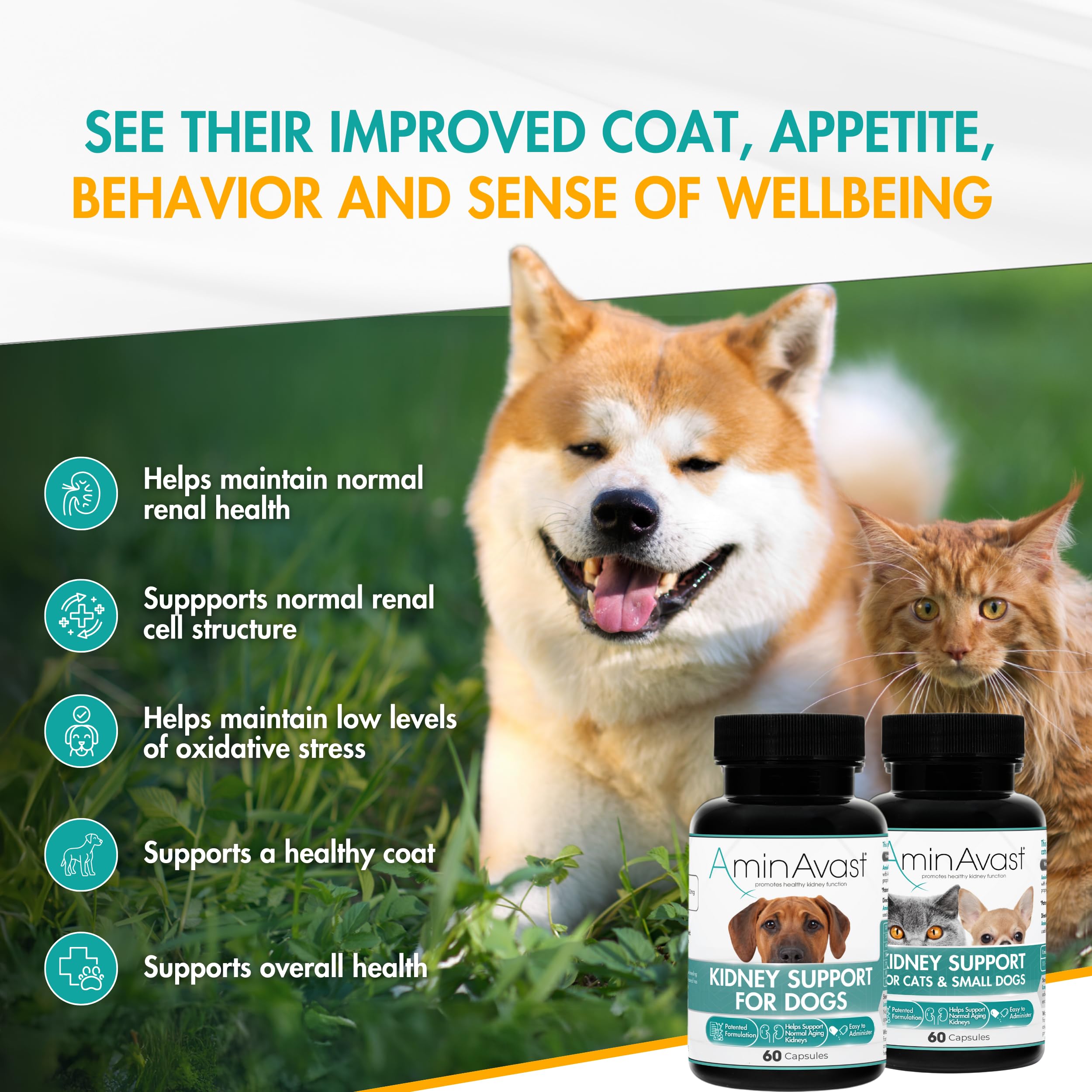 AminAvast cat-dog bowl image showing food mix, supporting hydration and urinary wellness.