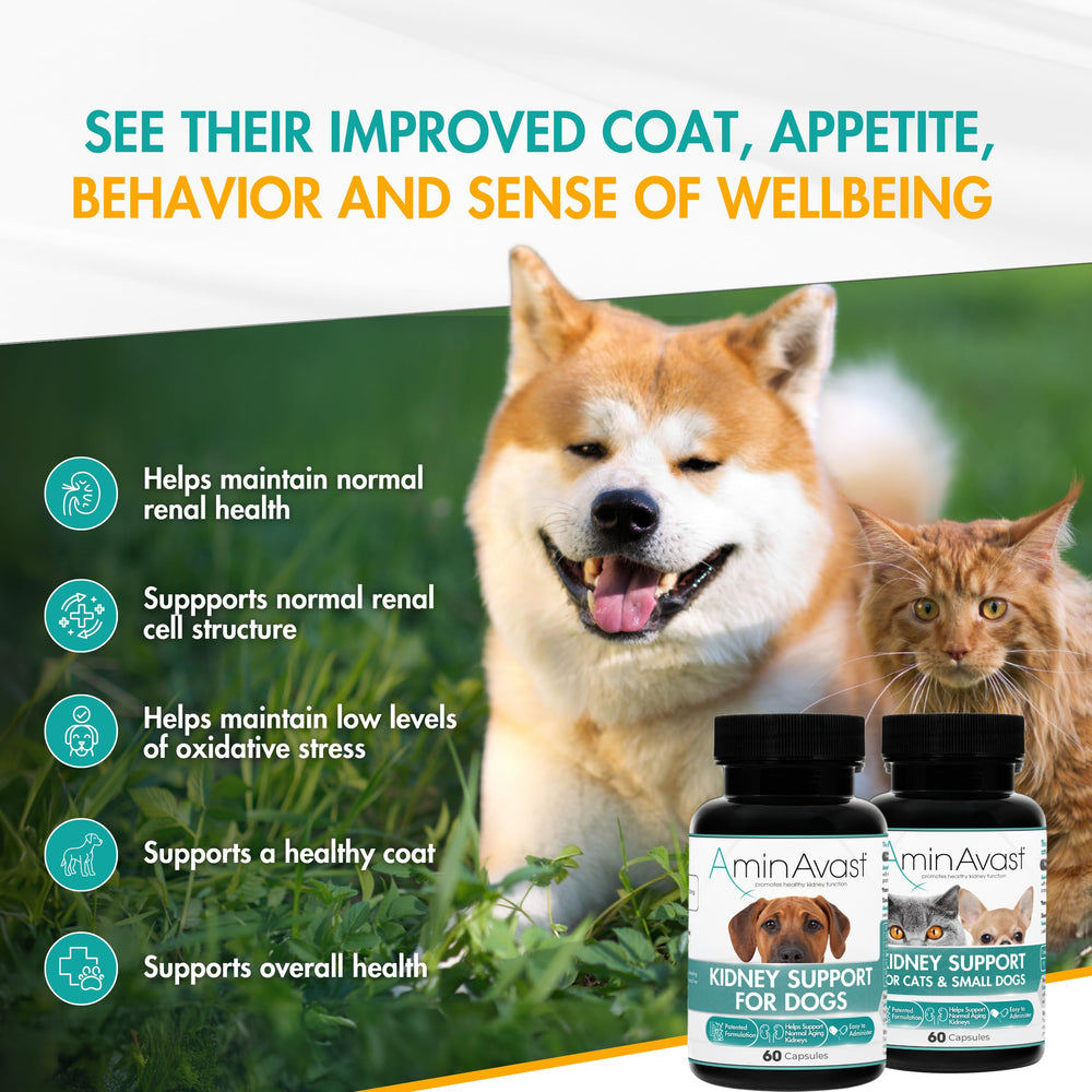 AminAvast cat-dog bowl image showing food mix, supporting hydration and urinary wellness.
