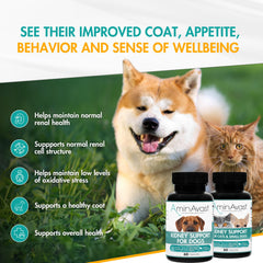 AminAvast cat-dog bowl image showing food mix, supporting hydration and urinary wellness.