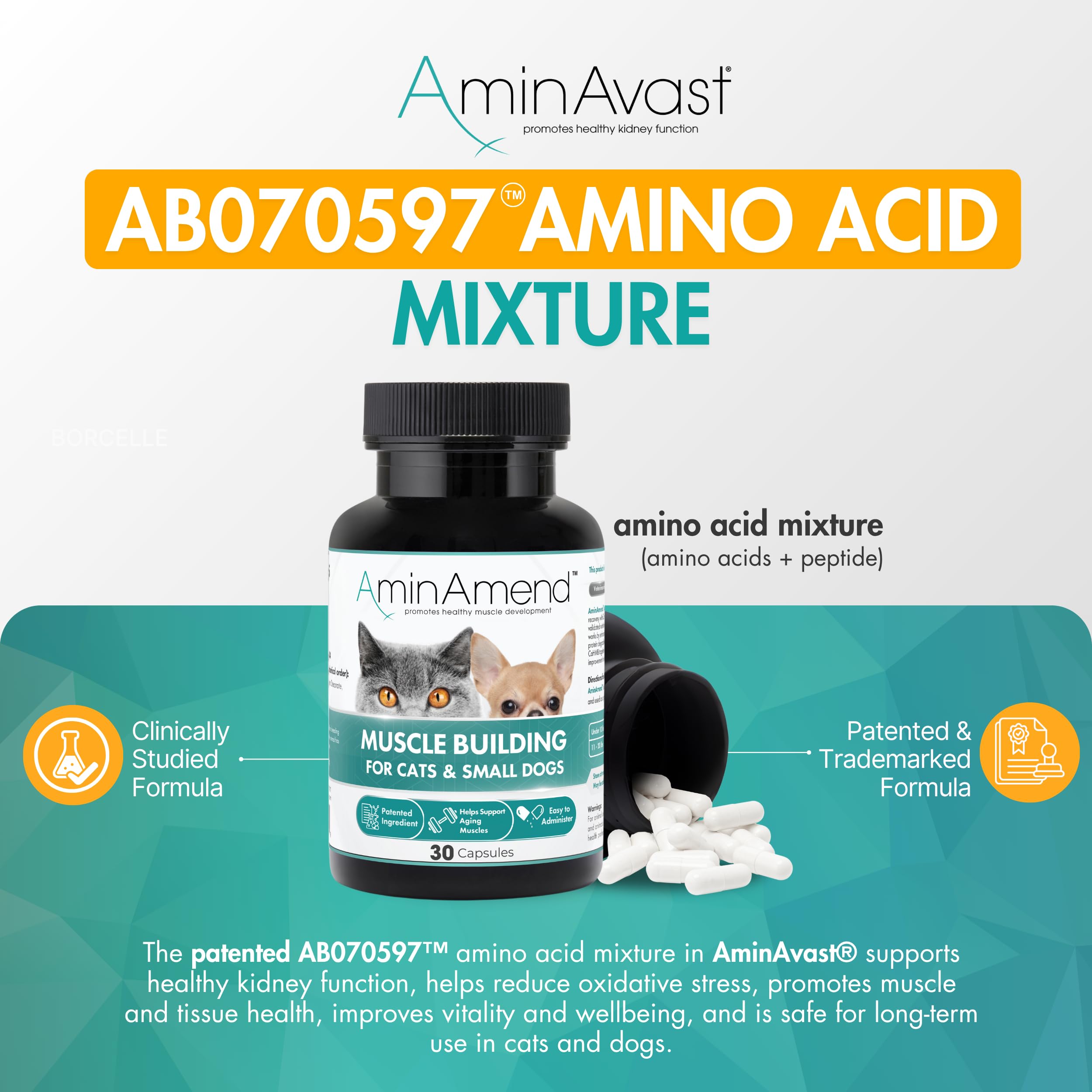 AminAvast sprinkle capsules being sprinkled into pet food