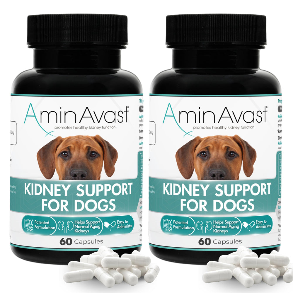 AminAvast kidney-support sprinkle capsules beside a dog bowl for kidney support.