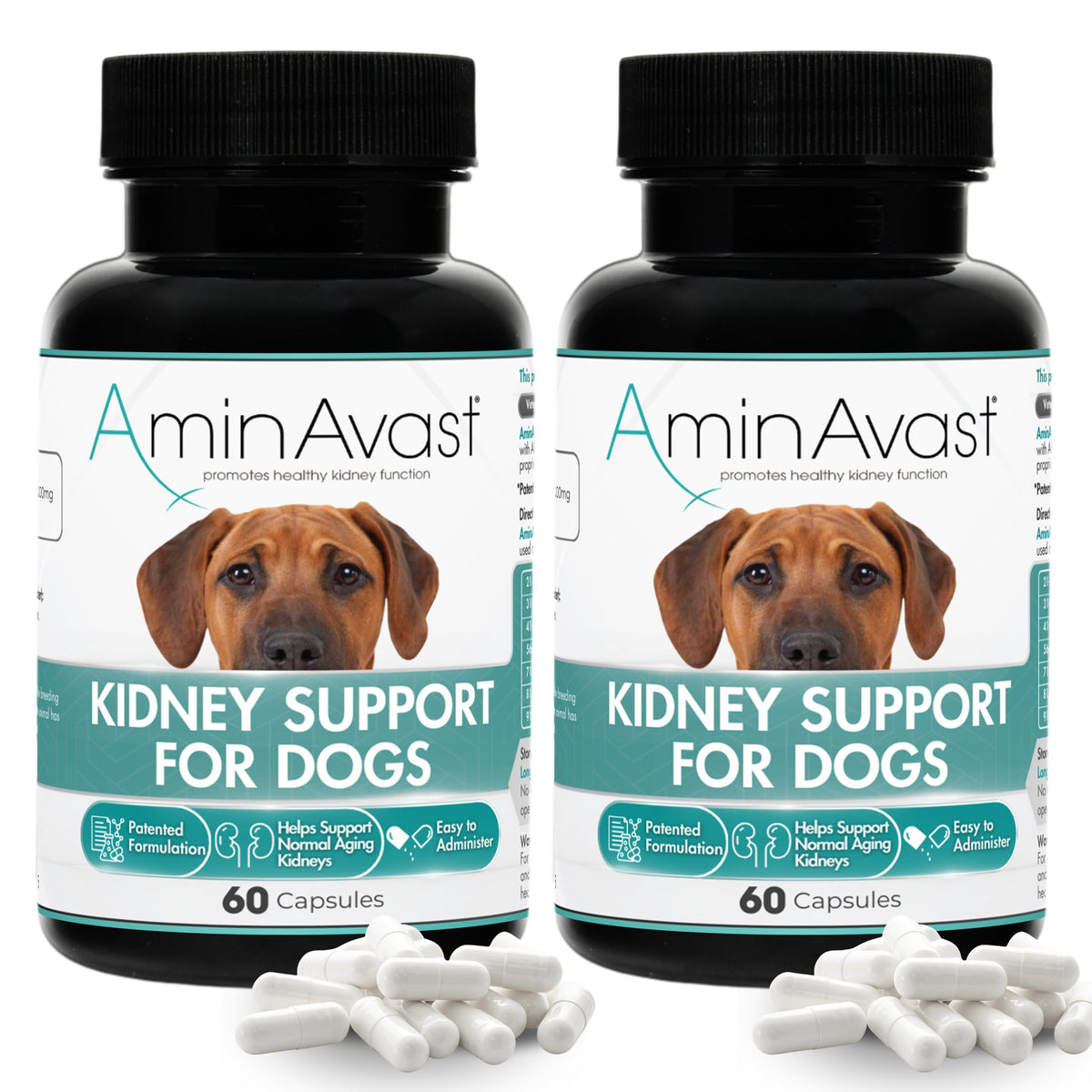 AminAvast kidney-support sprinkle capsules beside a dog bowl for kidney support.