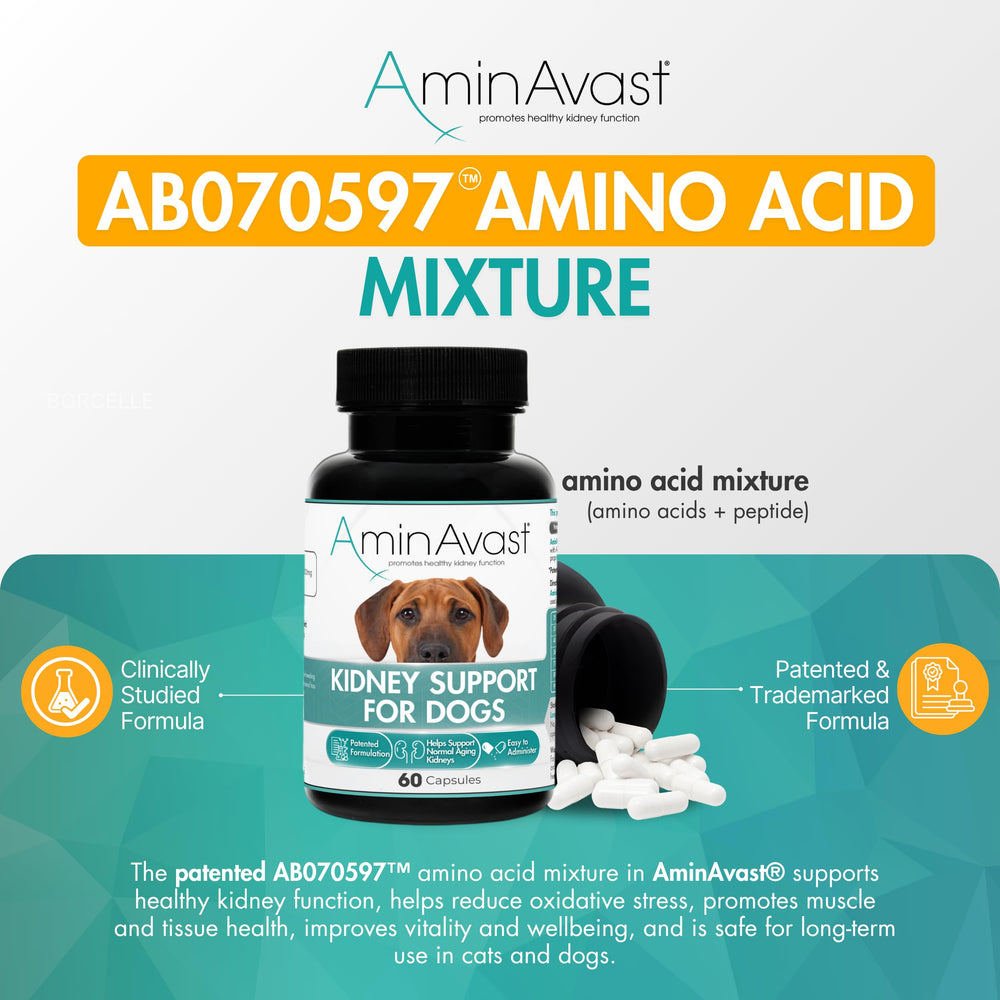 Patented AminAvast formula label highlights kidney health benefits for dogs.