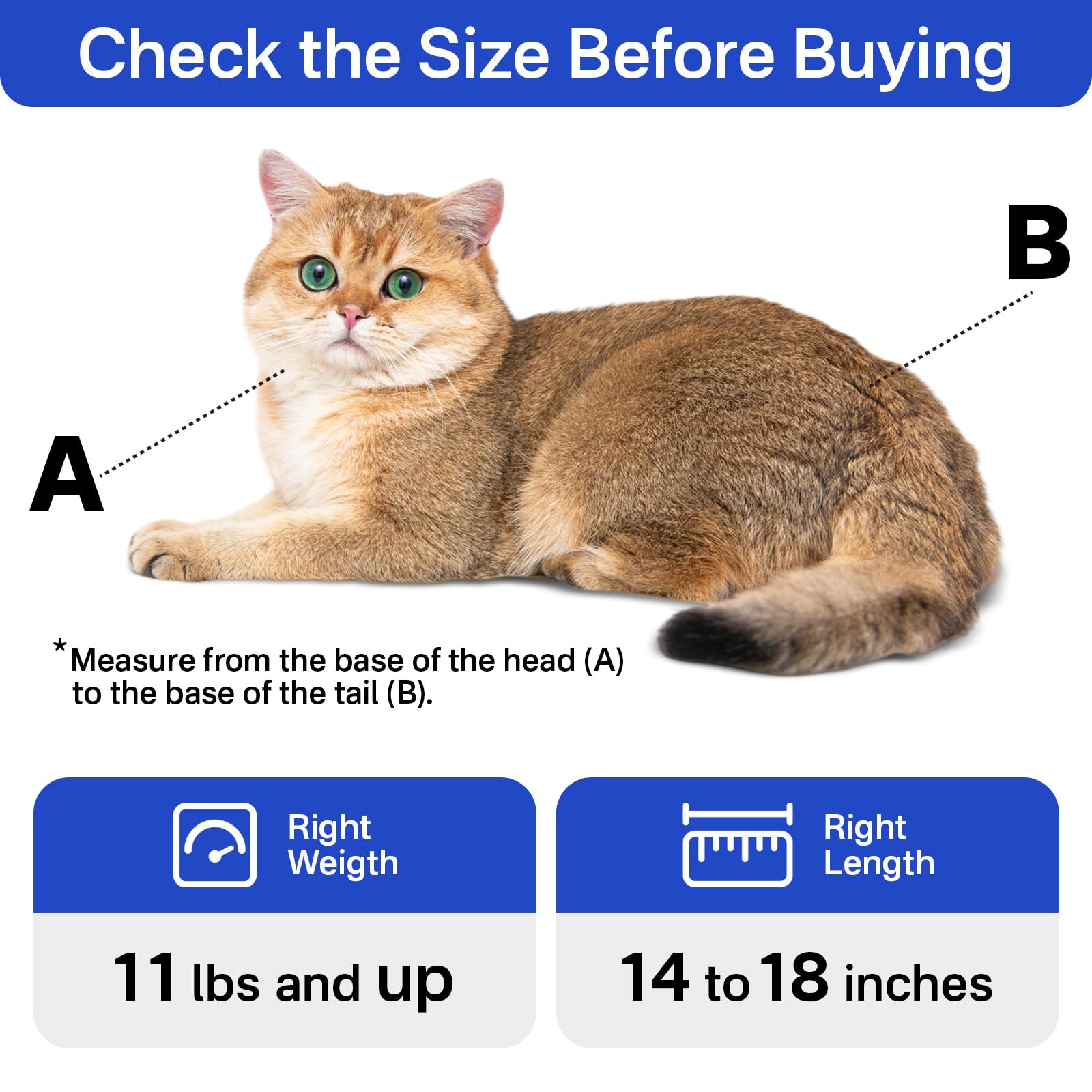 Amkune cat carrier pouch adjustable shoulder strap reduces strain while wearing.