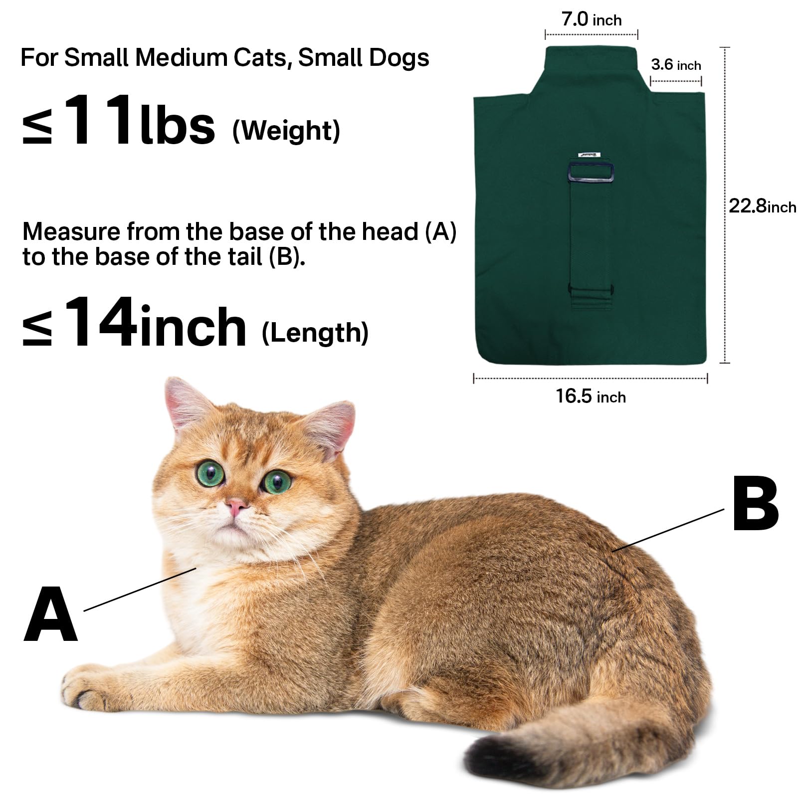 Amkune Cozy Travel Cat Carrier Pouch in-use image highlights cozy, compact carry for kittens