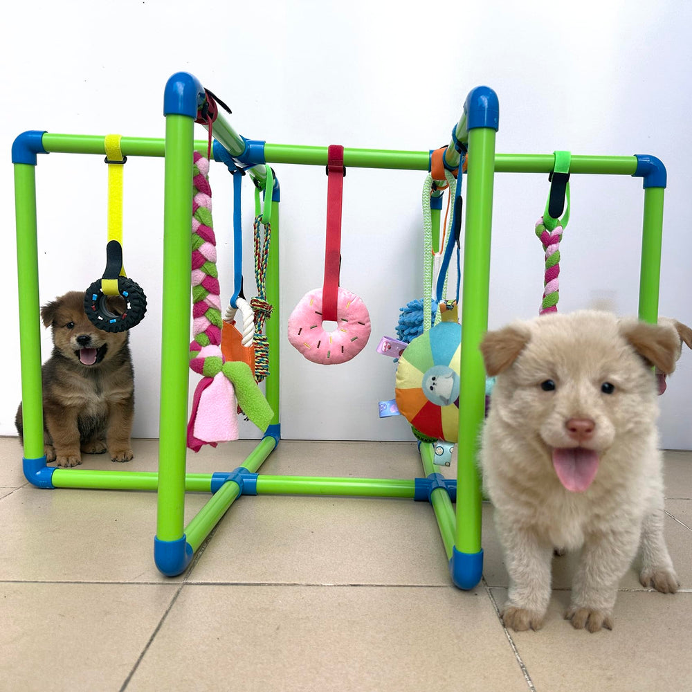 Amlmpet Puppy Play Gym side view highlighting adjustable straps for growing puppies.