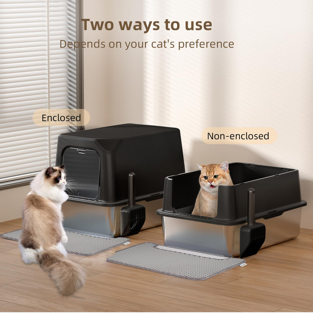 Amniau extra-large litter box shows spacious interior for big cats