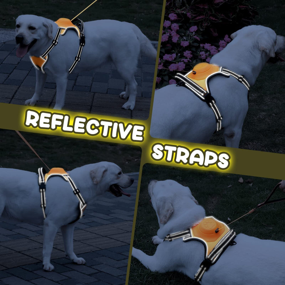 AMORONE large dog harness with auto-lock feature in action for secure control.