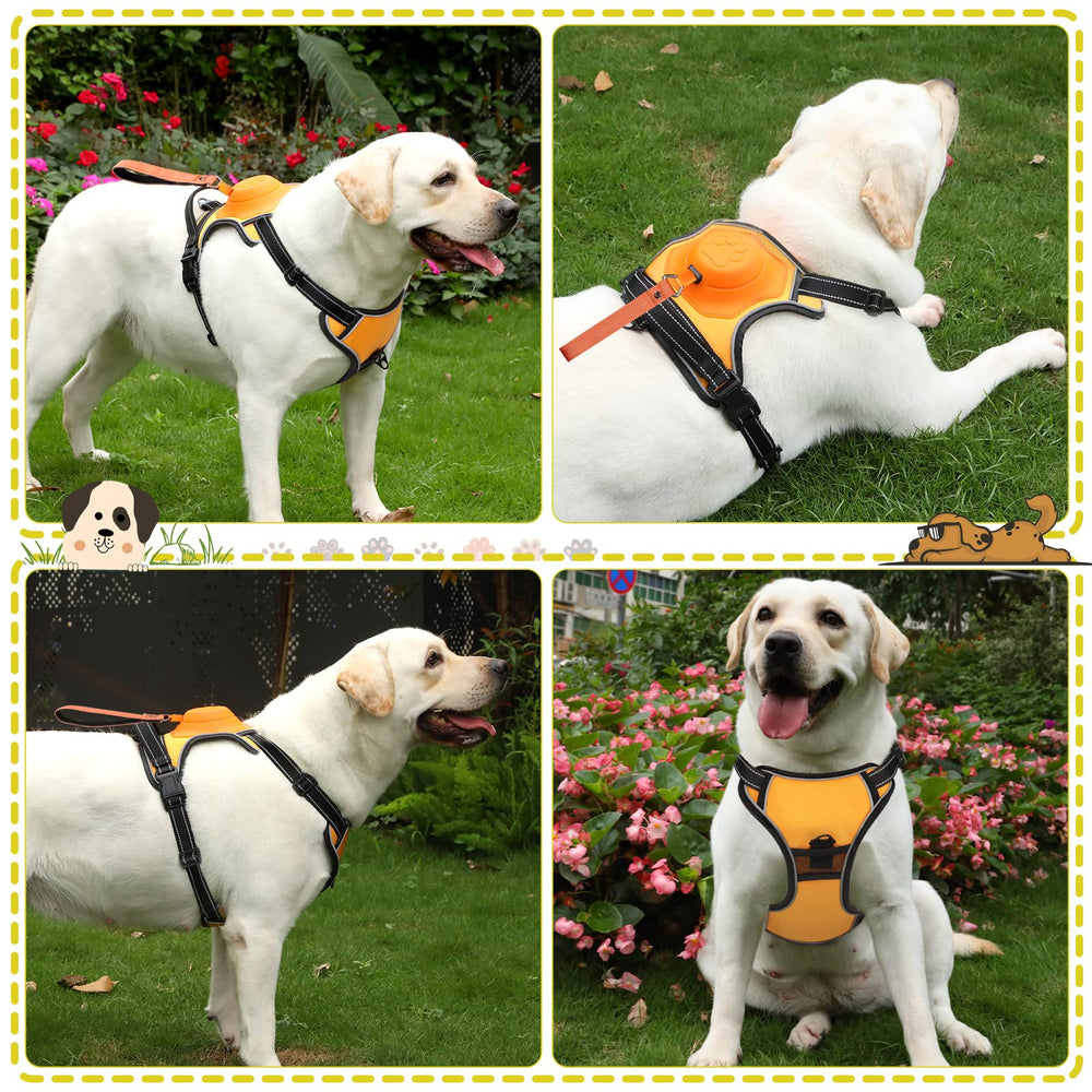 AMORONE no-pull design guiding dog calmly on a relaxed neighborhood walk.